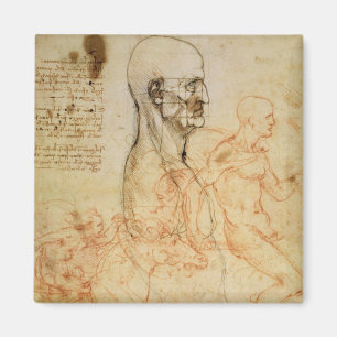 Imán Torso de un hombre en perfil, la cabeza ajustada