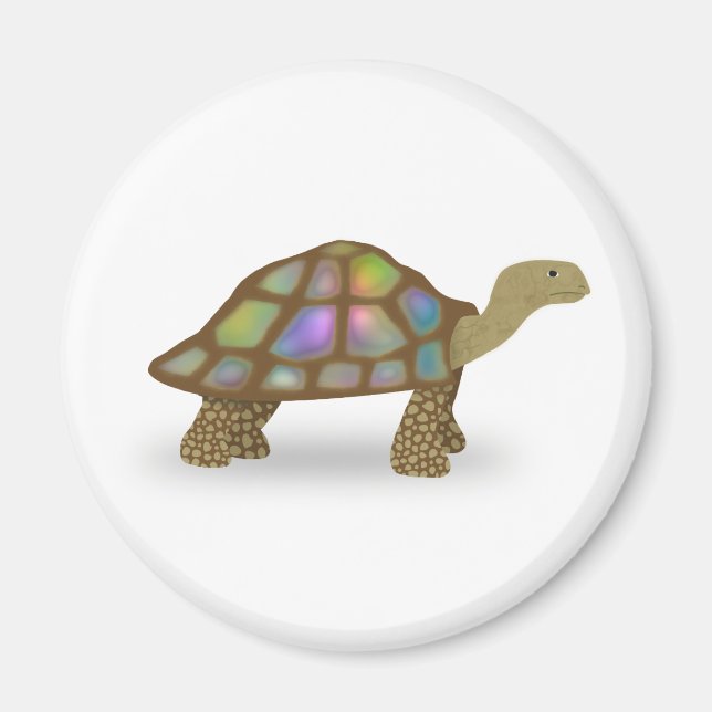 Imán Tortoise (Frente)