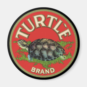 Imán Tortuga
