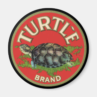 Imán Tortuga
