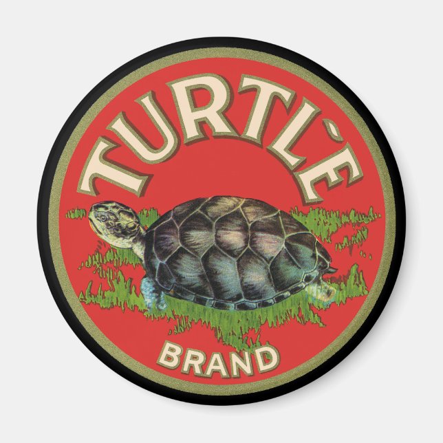 Imán Tortuga (Frente)