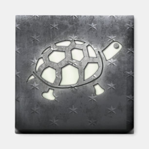 Imán Tortuga blanqueada