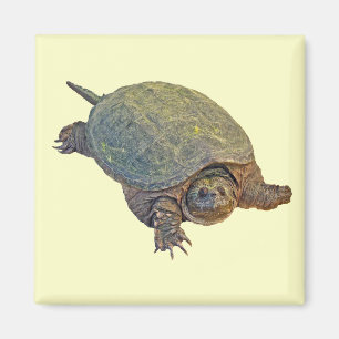 Imán Tortuga común para picar - Chelydra serpentina