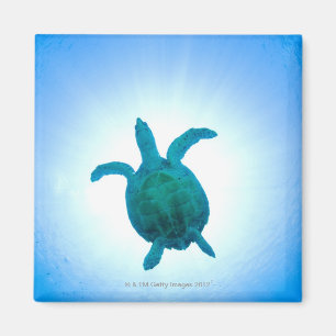 Imán Tortuga de mar que nada bajo el agua