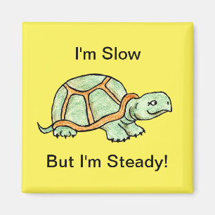 Imán Tortuga lenta pero estable