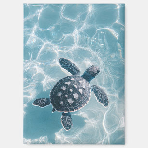 Imán Tortuga marina de bebé en agua limpia