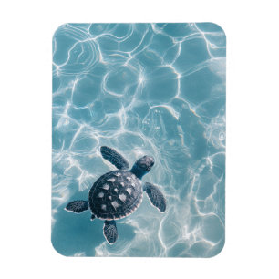 Imán Tortuga marina de bebé en agua limpia