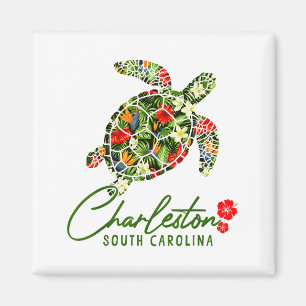 Imán Tortuga marina de Charleston Carolina del Sur Hibi