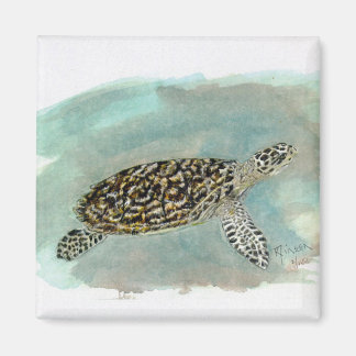 Imán Tortuga marina Hawksbill