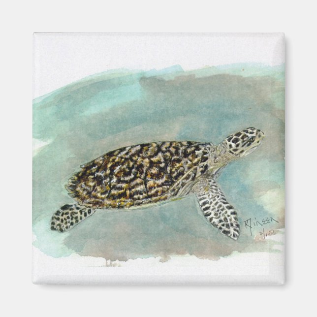 Imán Tortuga marina Hawksbill (Frente)