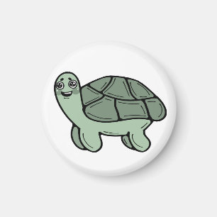 Imán Tortuga, naturaleza, tortuga