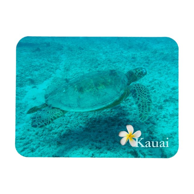 Imán Tortuga verde hawaiana (Horizontal)