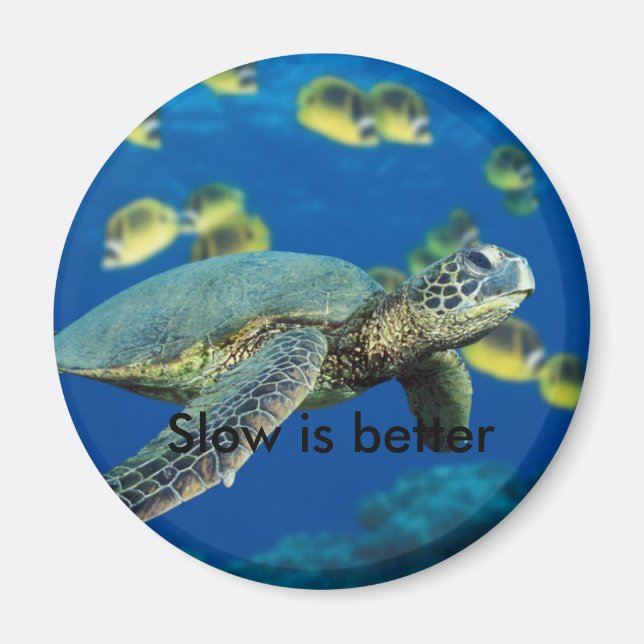 Imán Tortuga verde, lenta, mejor (Frente)
