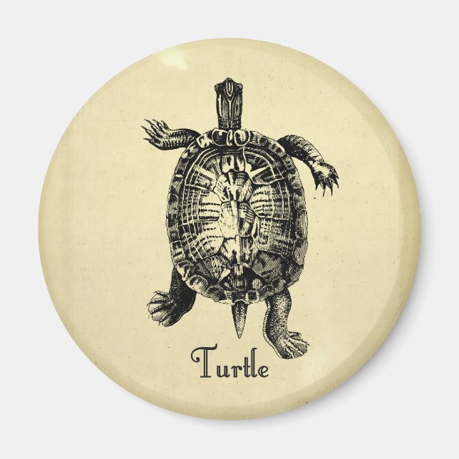 IMÁN TORTUGA VINTAGE (Frente)