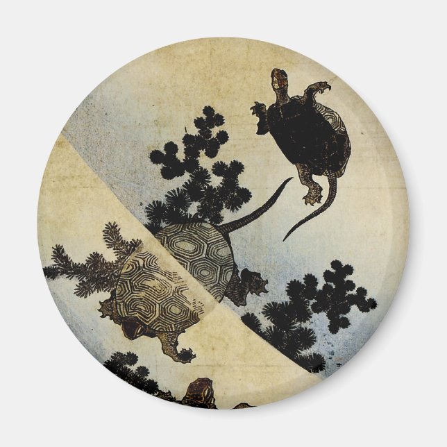 Imán Tortugas (Frente)