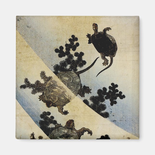 Imán Tortugas (Frente)