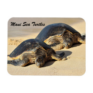 Imán Tortugas marinas de Maui