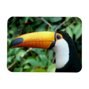 Imán Toucan Bebida Amarilla