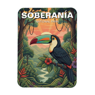 Imán Toucan en el Parque Nacional Soberania Panamá
