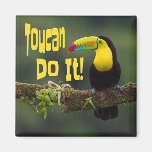 Imán ¡Toucan Lo Hace! Pun divertidísimo con motivos de 