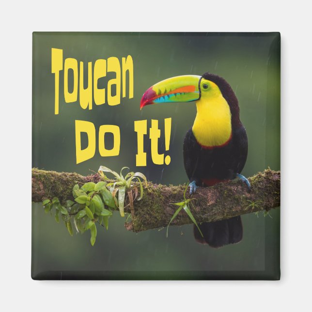Imán ¡Toucan Lo Hace! Pun divertidísimo con motivos de  (Frente)