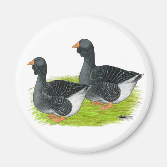 Imán Toulouse Dewlap Geese (Frente)