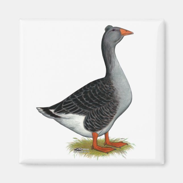 Imán Toulouse Goose (Frente)
