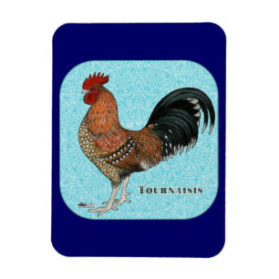 Imán Tournaisis Rooster