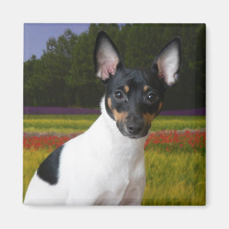 Imán Toy Fox Terrier Magnet