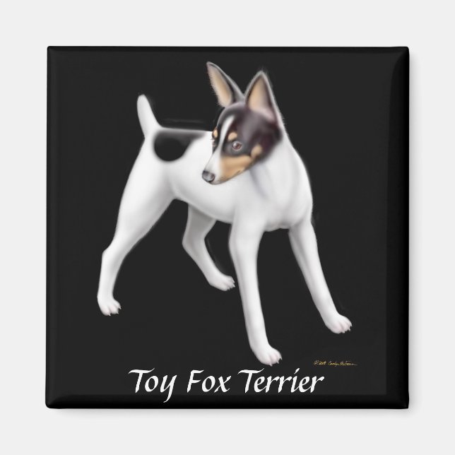 Imán Toy Fox Terrier Magnet (Frente)