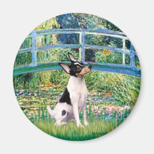 Imán Toy Fox Terrier - Puente
