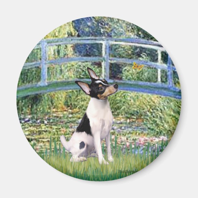 Imán Toy Fox Terrier - Puente (Frente)