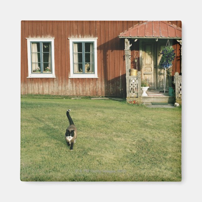 Imán Trabajaba una casa roja con un gato en el césped. (Frente)