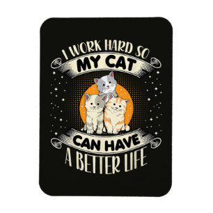 Imán Trabajo Duro Para Que Mi Gato Tenga Una Mejor Vida