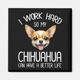 Imán Trabajo Mucho Para Que Mi Chihuahua Pueda Tener Un