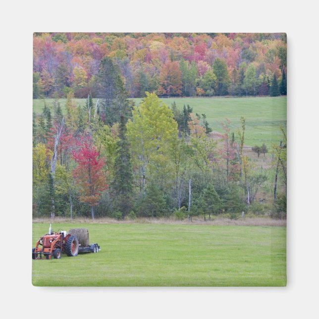 Imán Tractor con balón de heno en campo verde con (Frente)