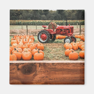 Imán Tractor y calabazas