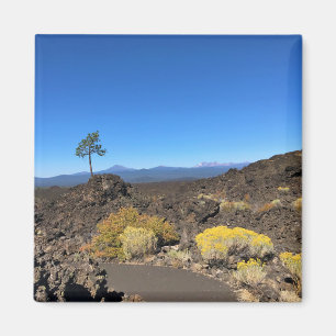 Imán Trail de la falda de la lava, Oregón