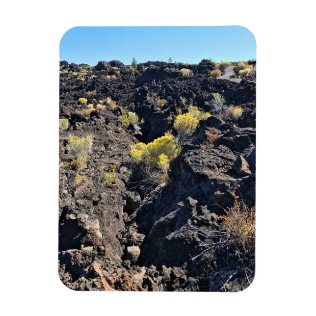 Imán Trail de la mantequilla de lava, O (Vertical)