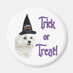 Imán Trampa maltesa