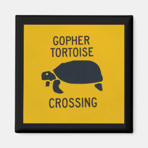 Imán Travesía de la tortuga de Gopher