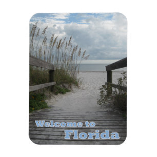 Imán Trayectoria de la playa de la Florida