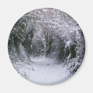 Imán Trayectoria Nevado