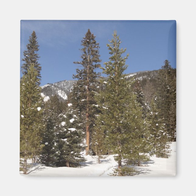 Imán Trayectos de montaña de Montana en fotografía de p (Frente)