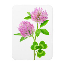 Imán Trébol rosa
