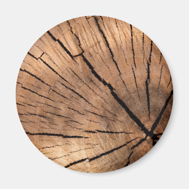 IMÁN TREE STUMP (Frente)