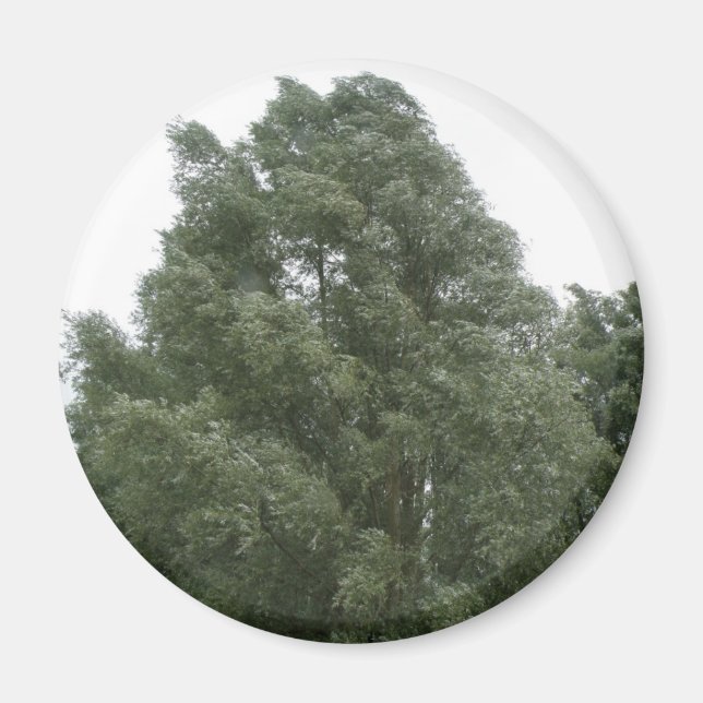 Imán Treetops Magnet (Frente)