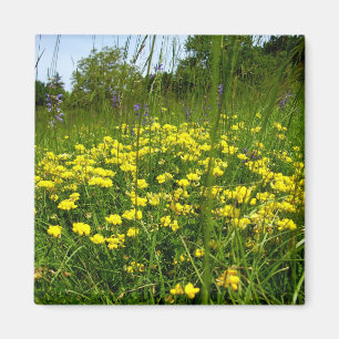 Imán Trefoil Magnet