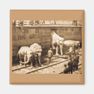 Imán Tren del elefante de Ringling Bros de la