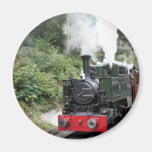 IMÁN TRENES DE VAPOR
